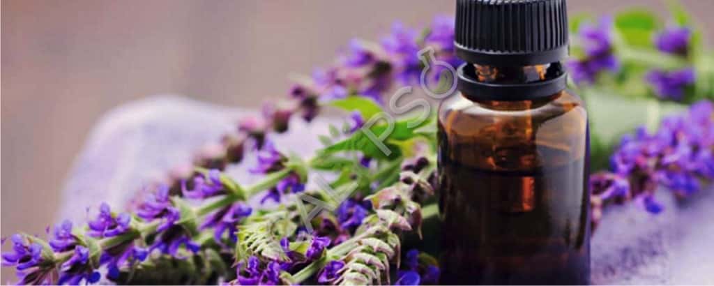 Clare sage olio naturale